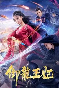 御龙王妃