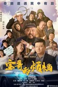 宝哥的烦恼