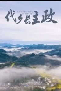 代乡长主政