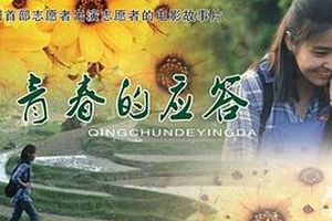 青春的应答