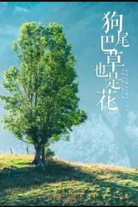 狗尾巴草也是花