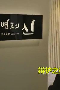 辩护之神
