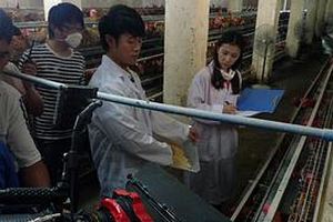 我和教授“羊粪豆”