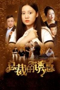 总裁的诱惑