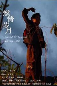 燃情岁月