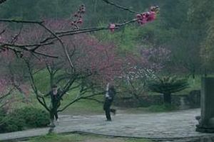 梦寻桃花源