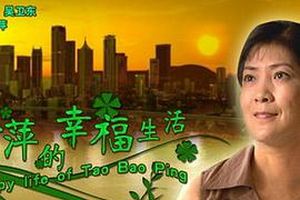 陶宝萍的幸福生活