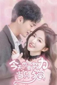 今天也要努力当只猫