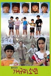 青蛙少年