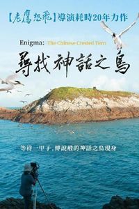 寻找神话之岛