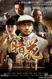 暗花[电视剧版]