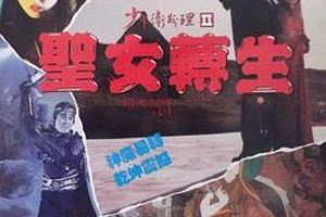 少年卫斯理之圣女转生