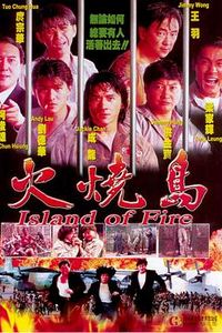 火烧岛(1991)