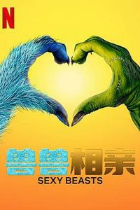 性感野兽第一季2024
